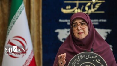 سخنگوی دولت: در سیاست‌گذاری‌ها با صاحبان فرایند‌ها مشورت می‌کنیم