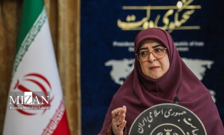 سخنگوی دولت: در سیاست‌گذاری‌ها با صاحبان فرایند‌ها مشورت می‌کنیم