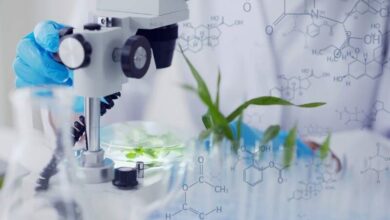 سهم ۶۰ درصدی زیست فناوری در دستیابی به اهداف توسعه پایدار