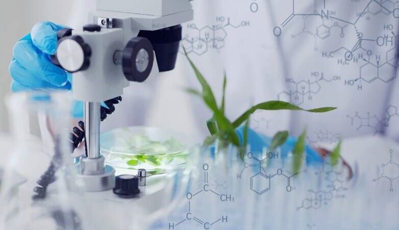 سهم ۶۰ درصدی زیست فناوری در دستیابی به اهداف توسعه پایدار