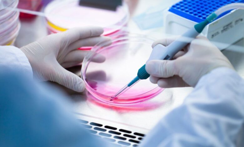 شبیه‌سازی، سلول‌های بنیادی، درمان ناباروری گام جهادی رویان در رفع نیازهای جامعه