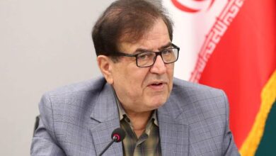 طرح راه اندازی شهر جهانی تا پایان سال اجرا خواهد شد