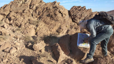 محافظه‌کاری، باعث توقف بیش از ۲ هزار محدوده معدنی اصفهان شده است