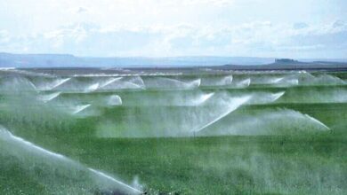 مقام دانشگاهی اصفهان: راه‌حل بحران آب، مدیریت مصرف است