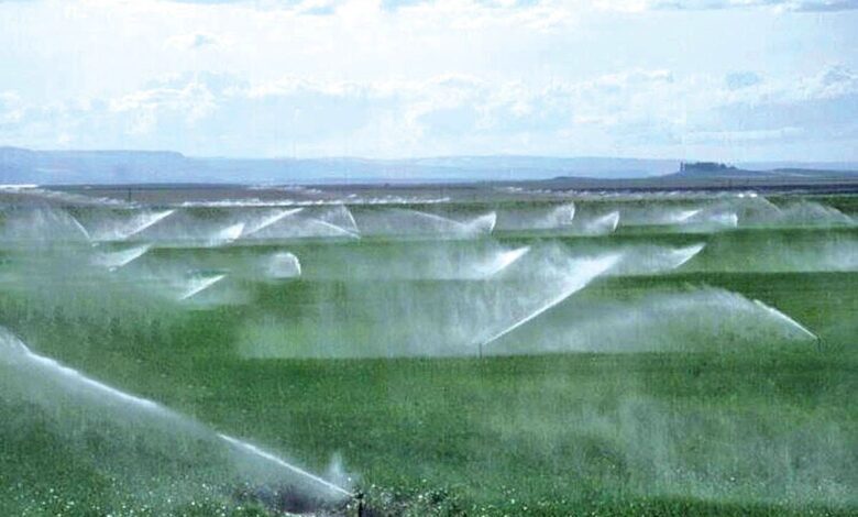 مقام دانشگاهی اصفهان: راه‌حل بحران آب، مدیریت مصرف است