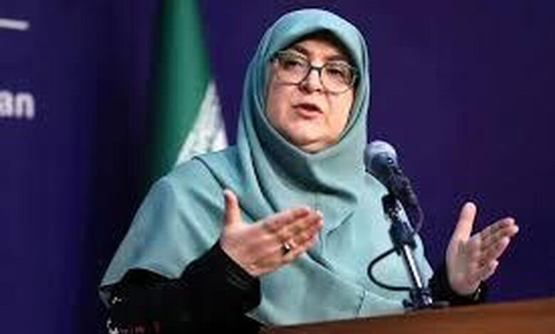 مهاجرانی: با تقویت نهاد‌های قانونی، مسیر توسعه هموارتر می‌شود