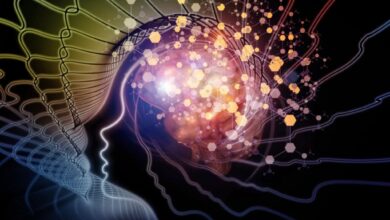 مولکول مرموز مغز؛ کلید تاب‌آوری زنان در بحران‌ها