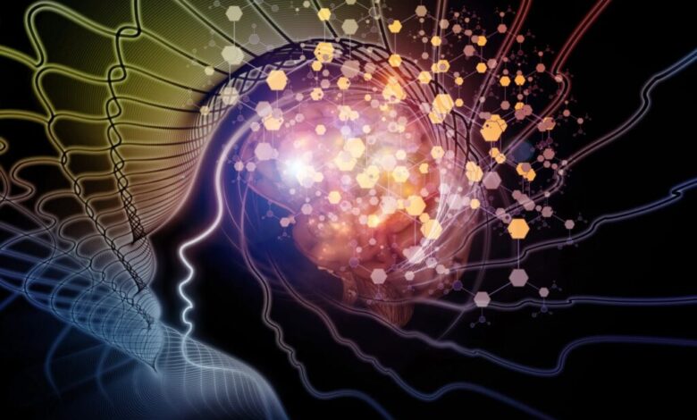 مولکول مرموز مغز؛ کلید تاب‌آوری زنان در بحران‌ها