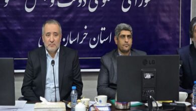 هم‌افزایی مجلس و بخش خصوصی راهبردی توسعه پایدار خراسان جنوبی است