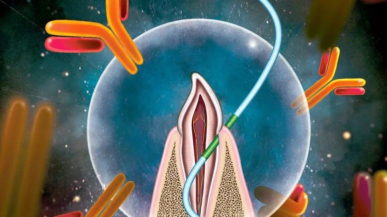 واکسیناسیون با نخ دندان؛ جایگزین تزریق سوزنی