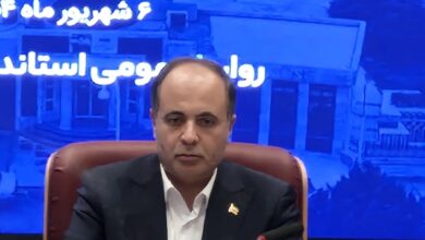 وزیر جهادکشاورزی: ۹۴.۲ درصد مطالبات گندم‌کاران پرداخت شد