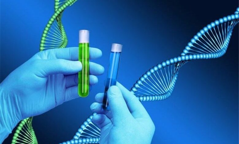 پیشنهاد تشکیل شبکه ملی یاوران حفاظت از ذخایر ژنتیکی