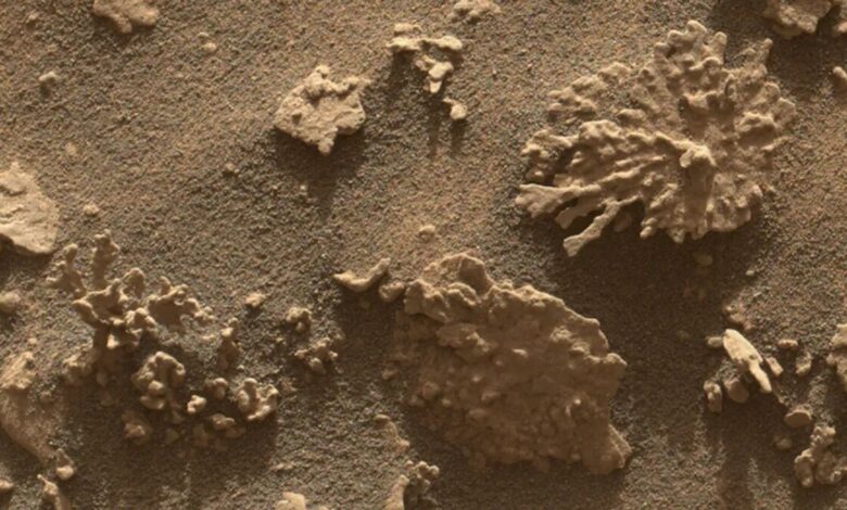 کشف سنگ مرجانی‌شکل در مریخ توسط مریخ‌نورد کنجکاوی