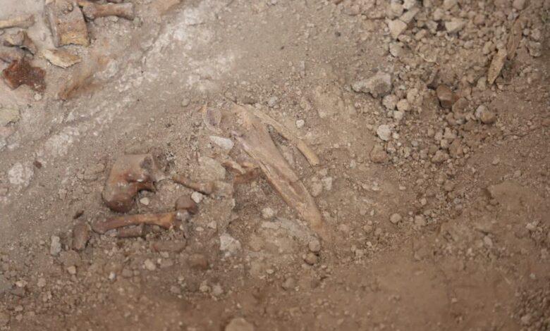 گورستان سلطنتی ایلخانی در گنبد سلطانیه زنجان کشف شد