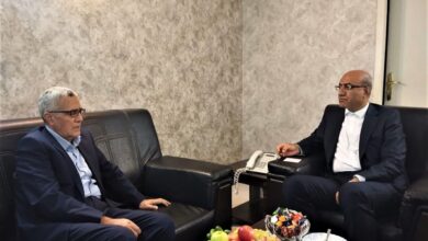 آمادگی بخش خصوصی برای سرمایه‌گذاری در انرژی‌های نو و کشت و صنعت استان کرمانشاه