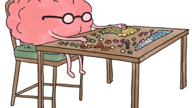 آیا حل پازل واقعاً از زوال عقل جلوگیری می‌کند؟