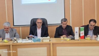 استاندار کهگیلویه و بویراحمد: مشارکت نخبگان در تصمیم‌سازی‌های استان تقویت می‌شود