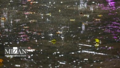 افزایش دما در استان‌های ساحلی خزر/هشدار بارش‌های سیلابی در ۴ استان نیمه شمالی ایران