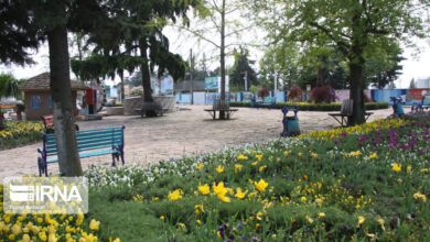 بهداشت محیط، سنگ بنای سلامت جامعه است