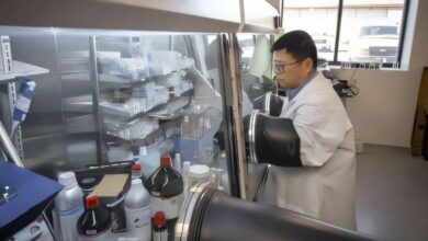 دستاورد پژوهشگران در مسیر ساخت باتری‌های لیتیومی پایدارتر و ایمن‌تر