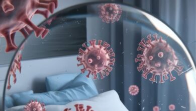 راز ایمنی پایدار در سرطان و بیماری های مزمن کشف شد