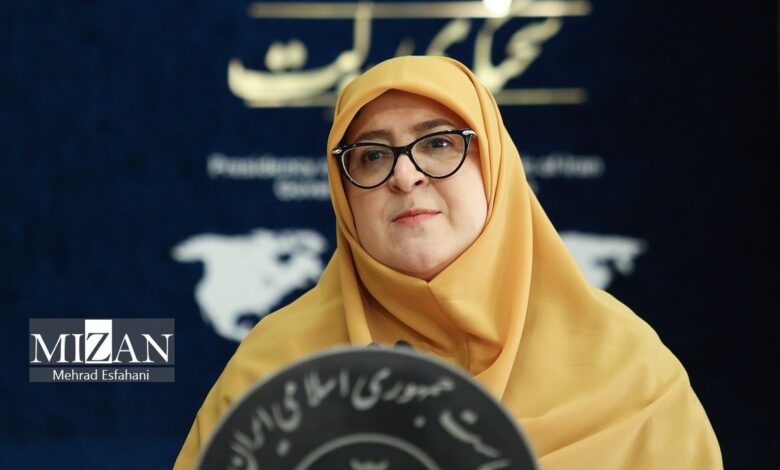 سخنگوی دولت: همچنان راه‌حل‌های دیپلماتیک را دنبال می‌کنیم/ تحت فشار‌های غیرقانونی قرار نمی‌گیریم