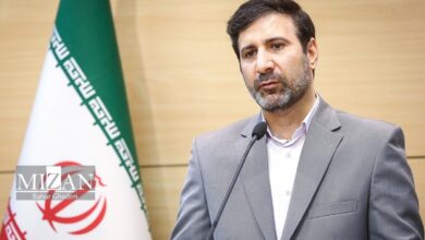 سخنگوی شورای نگهبان: عفو معیاری اخیر یک تصمیم حقوقی و اجتماعی هوشمندانه بود/ این اقدام نشاندهنده تدبیر قوه قضاییه در مدیریت جمعیت کیفری است