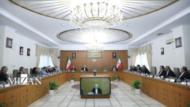 عارف: بیانات رهبر معظم انقلاب، راهبرد دولت است