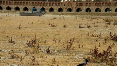 عضو شورای شهر: خشکسالی اصفهان باید در سطح ملی حل شود