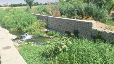 فیلم- فاضلاب بیمارستان شهید رجایی؛ تهدید خاموش سلامت مردم گچساران+ پاسخ مسئولان