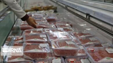 مدیرکل دامپزشکی گیلان: ورود گوشت منجمد آلوده به این استان صحت ندارد