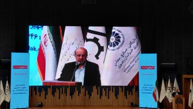 معاون وزیر صمت: ۶۲۵ معدن راکد در کشور احیا شد