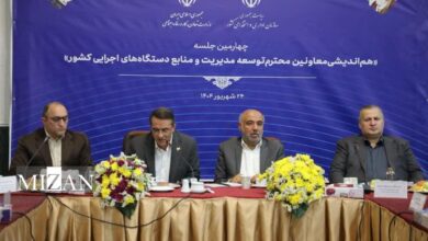 وزیر کار: عدالت شغلی و شایسته‌گزینی در دستگاه‌ها باید تقویت شود