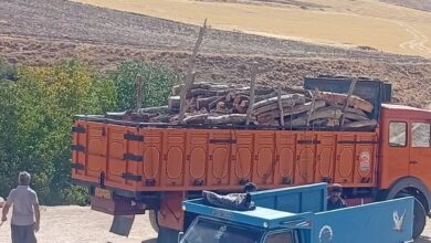 کامیون حامل چوب قاچاق در منطقه حفاظت شده عبدالرزاق سقز توقیف شد