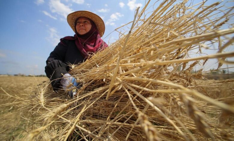 آذربایجان‌غربی؛ رتبه اول بهره‌مندی زنان روستایی از بیمه رایگان مادران سه فرزند