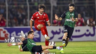 ابراهیمی: بازگشت برانکو راه‌حل امروز پرسپولیس نیست/ برکناری هاشمیان اشتباه بَعدی است