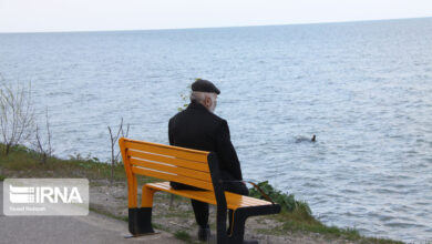از خانه تا شهر؛ نقش ارگونومی در ساختن آینده‌ای سالمند-دوست