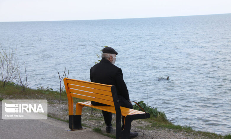 از خانه تا شهر؛ نقش ارگونومی در ساختن آینده‌ای سالمند-دوست