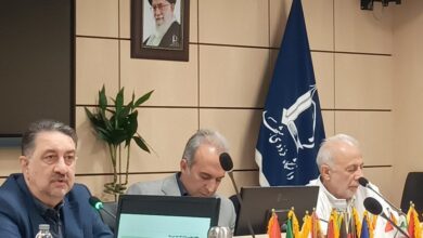 استاد دانشگاه علامه طباطبایی: نیازمند اتصال به شبکه اقتصاد جهانی هستیم