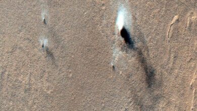 بادهای سهمگین؛ پشت پرده آرامش مریخ