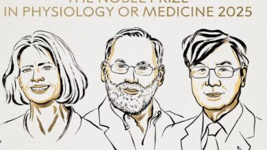برندگان جایزه نوبل پزشکی ۲۰۲۵ اعلام شدند