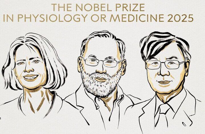 برندگان جایزه نوبل پزشکی ۲۰۲۵ اعلام شدند