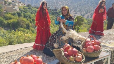 تامین زیرساخت و مشارکت مردم، کلید جهانی شدن روستای مارین گچساران