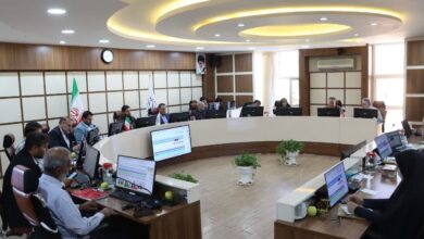 تخلفات ساخت‌وساز و مدیریت هزینه‌ها زیر ذره‌بین شورای شهر کرمان