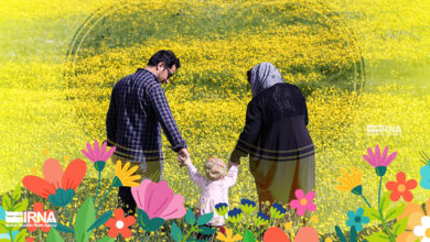 تشکیل کارگروه راهبری و توسعه فناوری اطلاعات جوانی جمعیت در وزارت بهداشت