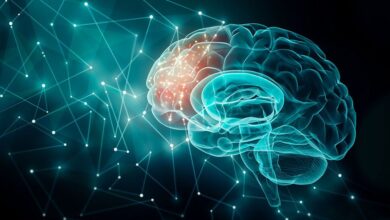 تشکیل کمیته مشترک اجرایی برای توسعه تعاملات در حوزه سلامت شناختی