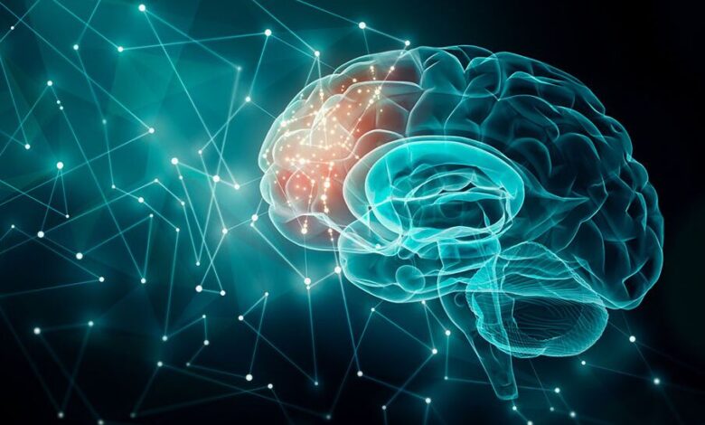 تشکیل کمیته مشترک اجرایی برای توسعه تعاملات در حوزه سلامت شناختی