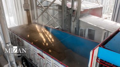 توقف ثبت سفارش و شبکه واسطه‌گری، عامل ایجاد آشفتگی در بازار نهاده/ دامداران ناچار به فروش گله‌ای شده‌اند