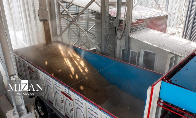 توقف ثبت سفارش و شبکه واسطه‌گری، عامل ایجاد آشفتگی در بازار نهاده/ دامداران ناچار به فروش گله‌ای شده‌اند