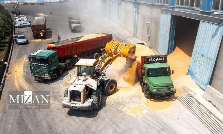 خروج واردکنندگان نهاده‌های دامی از چرخه تامین با تاخیر‌های ارزی/ تعداد واردکنندگان فعال از ۲۰۰ به حدود ۱۰۰ شرکت کاهش یافته است